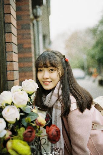 片子免费高清在线观看手机电视剧